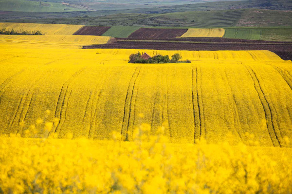 Reparcelaciones · Topógrafos Servicios Topográficos y Geomáticos Bellcaire d'Empordà